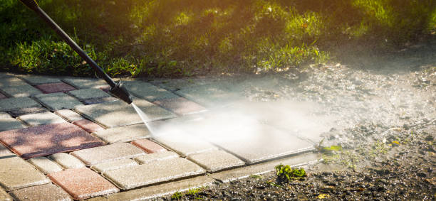 Best Animal Enclosure Cleaning  in Mexico, IN